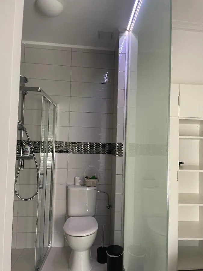 Executive Double Room With En-Suite In Guest House Rue Trevires R3 Luxembourg